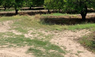 VENTA RANCHO CITRICOLA EN CADEREYTA