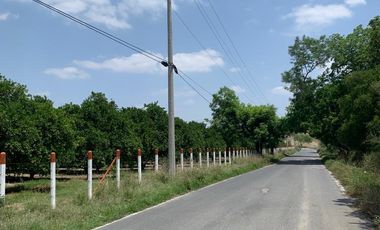 VENTA RANCHO CITRICOLA EN CADEREYTA
