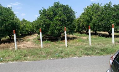 VENTA RANCHO CITRICOLA EN CADEREYTA