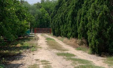 VENTA RANCHO CITRICOLA EN CADEREYTA