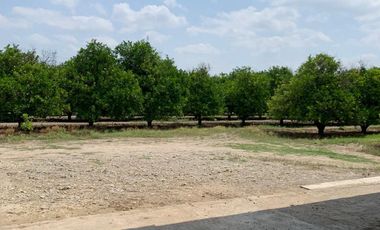 VENTA RANCHO CITRICOLA EN CADEREYTA