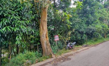 Tanah murah down slope Dago Giri Bandung dekat kawasan wisata
