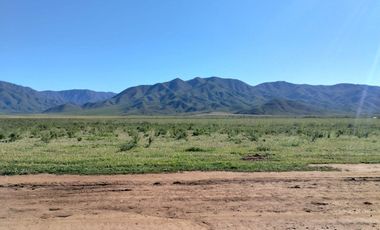 SE VENDE RANCHO DE 30 HECTAREAS EN SAN VICENTE!!