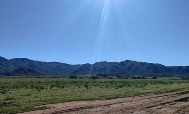 SE VENDE RANCHO DE 30 HECTAREAS EN SAN VICENTE!!