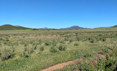 SE VENDE RANCHO DE 30 HECTAREAS EN SAN VICENTE!!