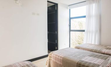 En Cariló! | Avutarda a pasos del mar!