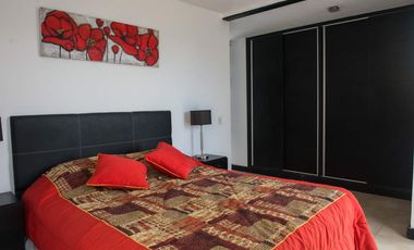 En Cariló! | Avutarda a pasos del mar!