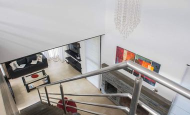 En Cariló! | Avutarda a pasos del mar!