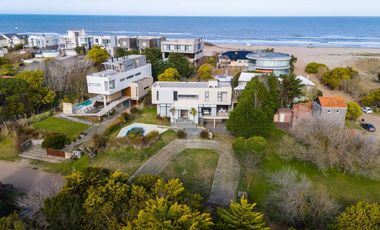 En Cariló! | Avutarda a pasos del mar!