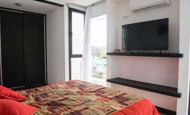 En Cariló! | Avutarda a pasos del mar!