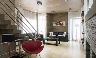 En Cariló! | Avutarda a pasos del mar!