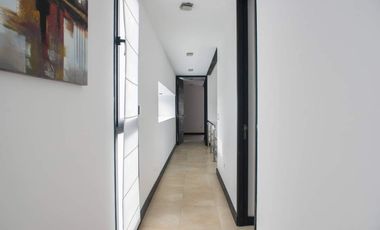 En Cariló! | Avutarda a pasos del mar!