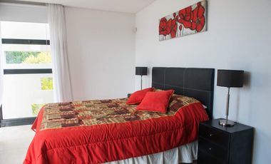 En Cariló! | Avutarda a pasos del mar!