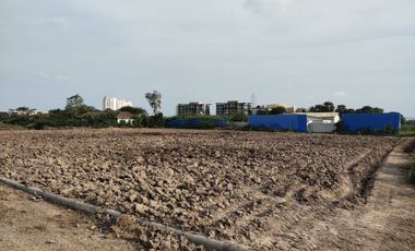 Land for sale in Cha-Am, Phetchaburi