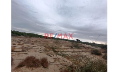 🌾🚜 ¡OPORTUNIDAD ÚNICA PARA INVERSIONISTAS Y AGRICULTORES! 🚜🌾

Descubre el potencial de esta vasta extensión de terreno agrícola, ubicada en el coraz