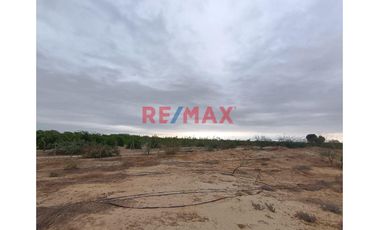 🌾🚜 ¡OPORTUNIDAD ÚNICA PARA INVERSIONISTAS Y AGRICULTORES! 🚜🌾

Descubre el potencial de esta vasta extensión de terreno agrícola, ubicada en el coraz