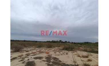 🌾🚜 ¡OPORTUNIDAD ÚNICA PARA INVERSIONISTAS Y AGRICULTORES! 🚜🌾

Descubre el potencial de esta vasta extensión de terreno agrícola, ubicada en el coraz