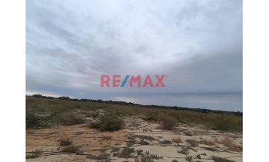 🌾🚜 ¡OPORTUNIDAD ÚNICA PARA INVERSIONISTAS Y AGRICULTORES! 🚜🌾

Descubre el potencial de esta vasta extensión de terreno agrícola, ubicada en el coraz