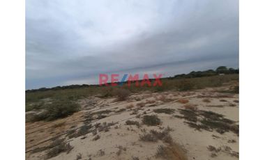 🌾🚜 ¡OPORTUNIDAD ÚNICA PARA INVERSIONISTAS Y AGRICULTORES! 🚜🌾

Descubre el potencial de esta vasta extensión de terreno agrícola, ubicada en el coraz