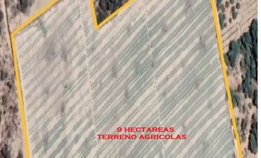 🌾🚜 ¡OPORTUNIDAD ÚNICA PARA INVERSIONISTAS Y AGRICULTORES! 🚜🌾

Descubre el potencial de esta vasta extensión de terreno agrícola, ubicada en el coraz