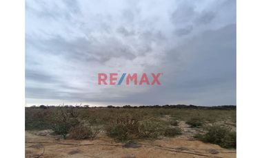 🌾🚜 ¡OPORTUNIDAD ÚNICA PARA INVERSIONISTAS Y AGRICULTORES! 🚜🌾

Descubre el potencial de esta vasta extensión de terreno agrícola, ubicada en el coraz