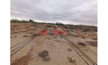 🌾🚜 ¡OPORTUNIDAD ÚNICA PARA INVERSIONISTAS Y AGRICULTORES! 🚜🌾

Descubre el potencial de esta vasta extensión de terreno agrícola, ubicada en el coraz