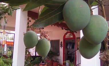 CASA EN VENTA RANCHO EL RECODO MAZATLÁN, SIN.