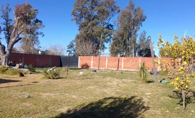 Terreno - Longchamps