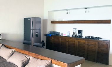 Departamento En Venta En Guerrero Zihuatanejo Barra De Potosi
