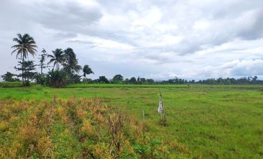 Kavling Tanah Hunian Asri View Gunung Salak Terima SHM Pecah