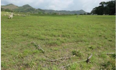 VENDO CASA FINCA IDEAL PARA GANADERA, PORCINOCULTURA O AGRICULTURA