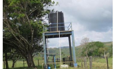 VENDO CASA FINCA IDEAL PARA GANADERA, PORCINOCULTURA O AGRICULTURA