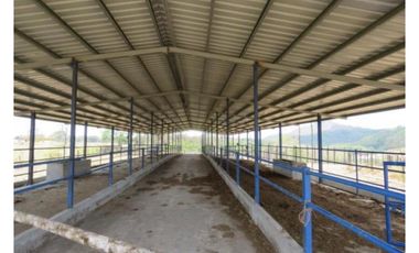 VENDO CASA FINCA IDEAL PARA GANADERA, PORCINOCULTURA O AGRICULTURA