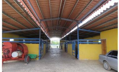 VENDO CASA FINCA IDEAL PARA GANADERA, PORCINOCULTURA O AGRICULTURA