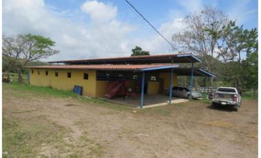 VENDO CASA FINCA IDEAL PARA GANADERA, PORCINOCULTURA O AGRICULTURA