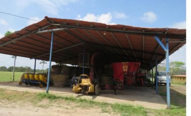 VENDO CASA FINCA IDEAL PARA GANADERA, PORCINOCULTURA O AGRICULTURA