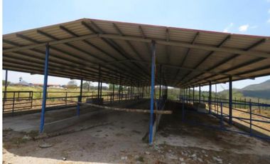 VENDO CASA FINCA IDEAL PARA GANADERA, PORCINOCULTURA O AGRICULTURA