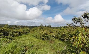 Se Vende Finca de 170 Hectáreas en Capira-Cacao
