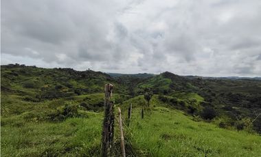 Se Vende Finca de 170 Hectáreas en Capira-Cacao