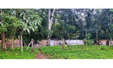 Se Vende Finca de 170 Hectáreas en Capira Cacao