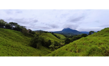 Se Vende Finca de 170 Hectáreas en Capira Cacao
