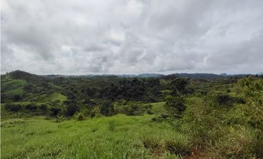 Se Vende Finca de 170 Hectáreas en Capira-Cacao