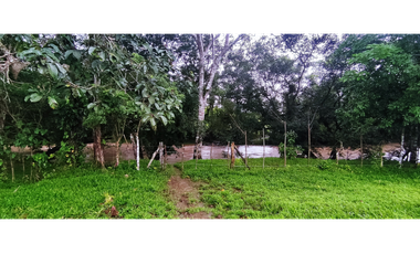 Se Vende Finca de 170 Hectáreas en Capira Cacao
