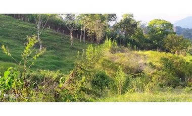 VENTA DE LOTE EN LA ESTRELLA. ANTIOQUIA