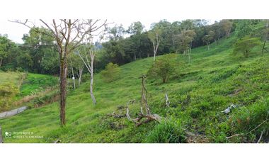 VENTA DE LOTE EN LA ESTRELLA. ANTIOQUIA