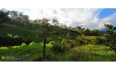 VENTA DE LOTE EN LA ESTRELLA. ANTIOQUIA