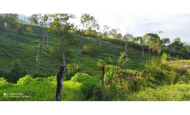 VENTA DE LOTE EN LA ESTRELLA. ANTIOQUIA