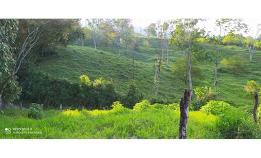 VENTA DE LOTE EN LA ESTRELLA. ANTIOQUIA