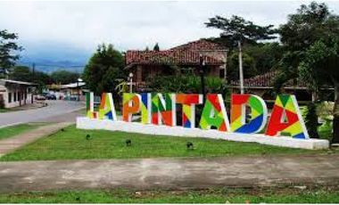 VENTA DE TERRENO EN LA PINTADA