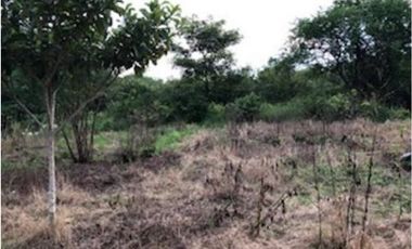 VENTA DE TERRENO EN LA PINTADA